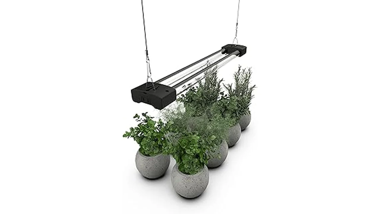 Top 5 What Wattage Is Best for Led Lights for Hydroponics
