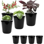 The image shows a vibrant hydroponic garden, illustrating the best methods for superior plant growth.