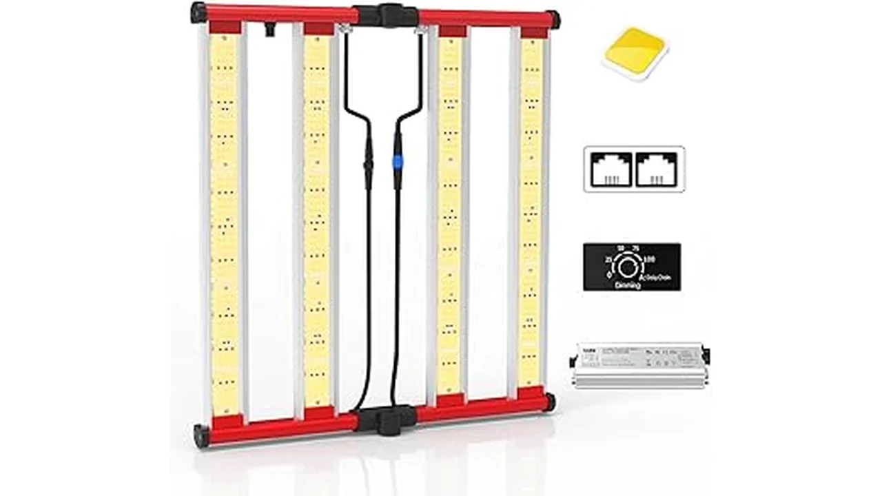 Top 5 Why Fluorescent Lights Is the Best Use for Hydroponics