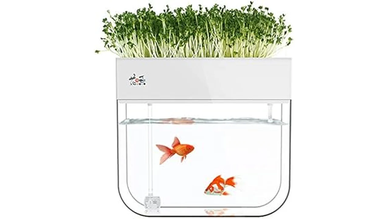 10 Best Aquaponics System Kit for Beginners