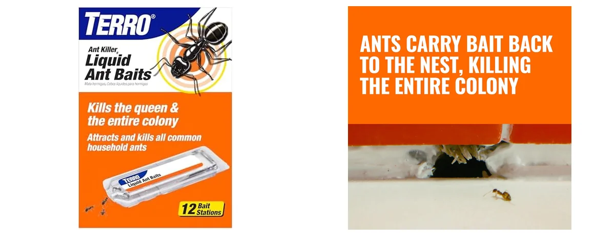 Terror Ant Killer VC Ecovenge B Ackride Ant Killer Reviews 4 Terro T300B images