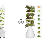 Comparison of GX 24 pots with LED grow lights and Lettuce Modern