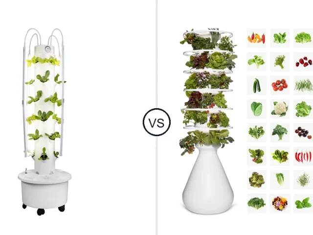 Gox 24 Pots with Lady Grow Visa Lettuce Modern Review