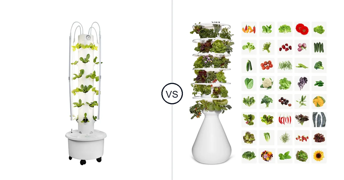 Comparison of GX 24 pots with LED grow lights and Lettuce Modern