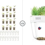 Comparison of New Studio and Back Aquaponic Fish Tank