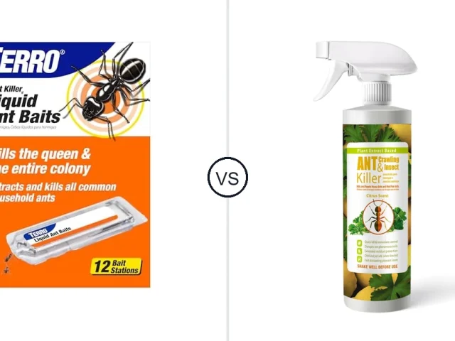 Terror Ant Killer VC Ecovenge B Ackride Ant Killer Reviews