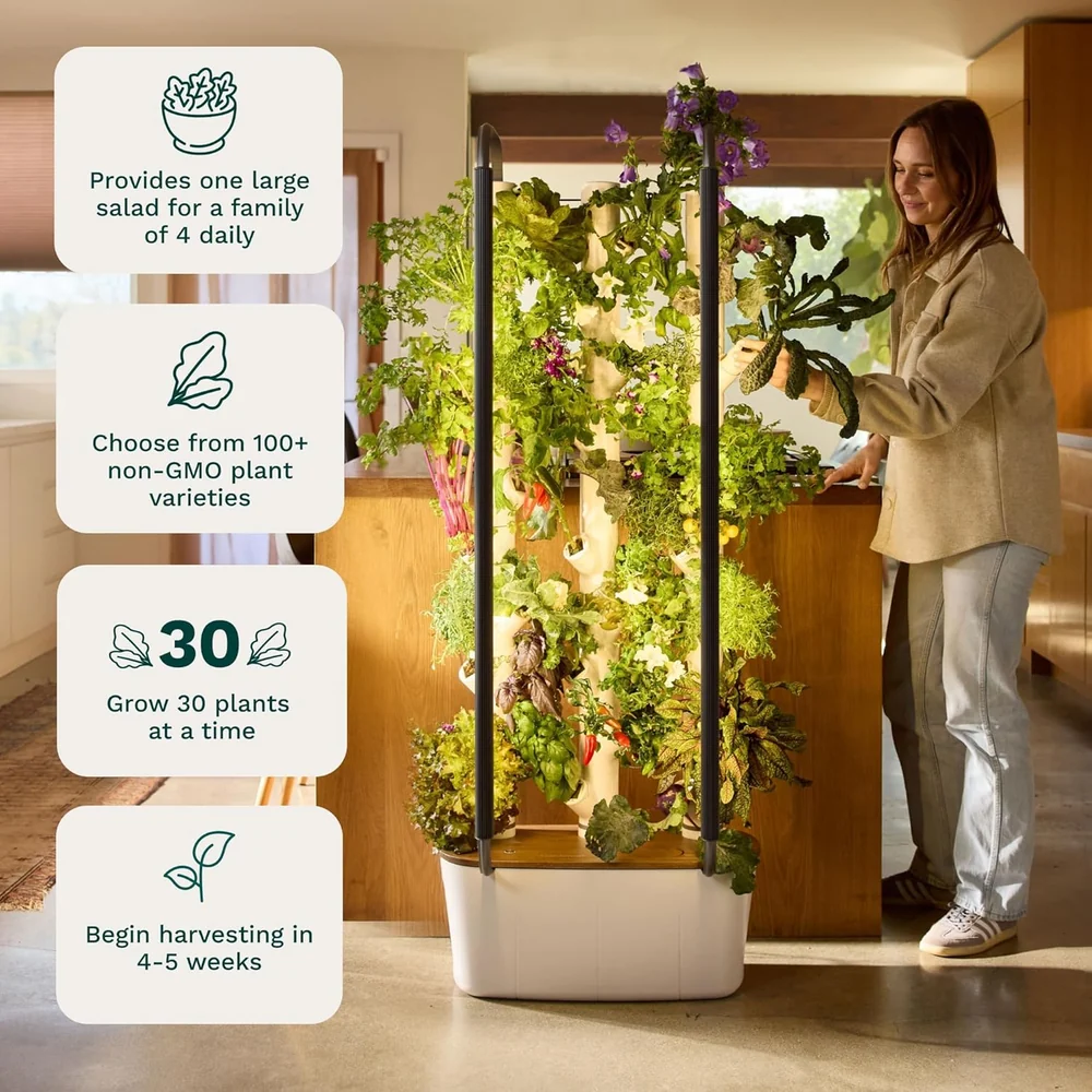 Garden Home 4 Vertical VC Garden Studio 2 Review 8 Gardyn Home