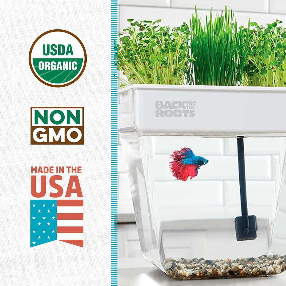 Back Aquaponic Fish Tank