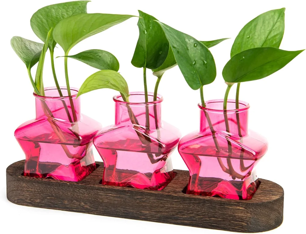 Back Aquaponic Fish Tank