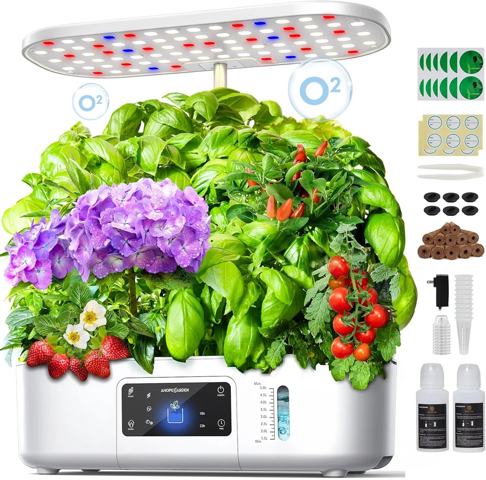Lettuce Modern