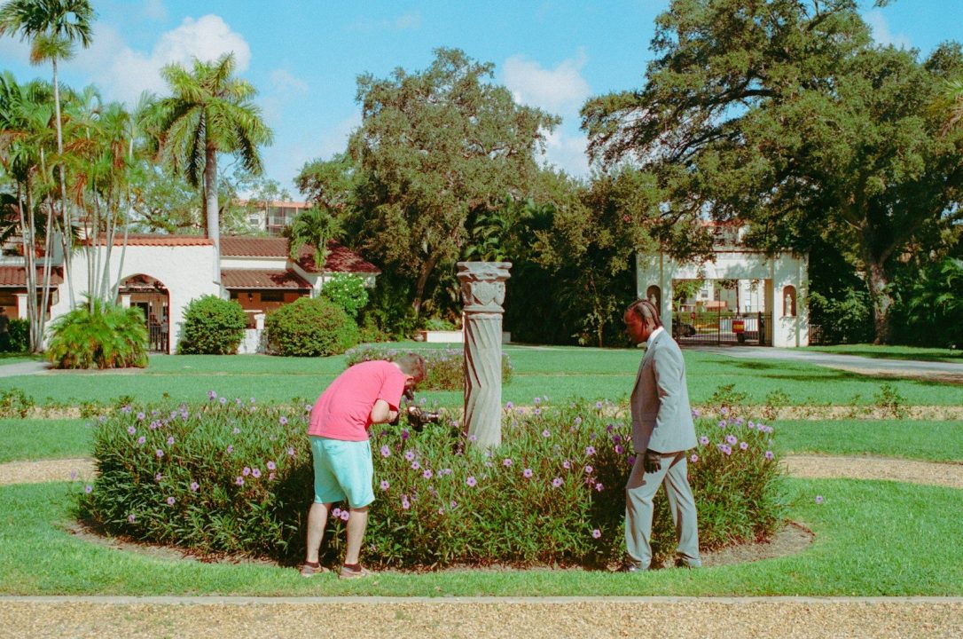 Best Hedge Bushes to Plant in Florida Full Sun 2 Best Hedge Bushes to Plant in Florida Full Sun