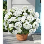 Best 10 6 Artificial Flowers Outdoors Diy