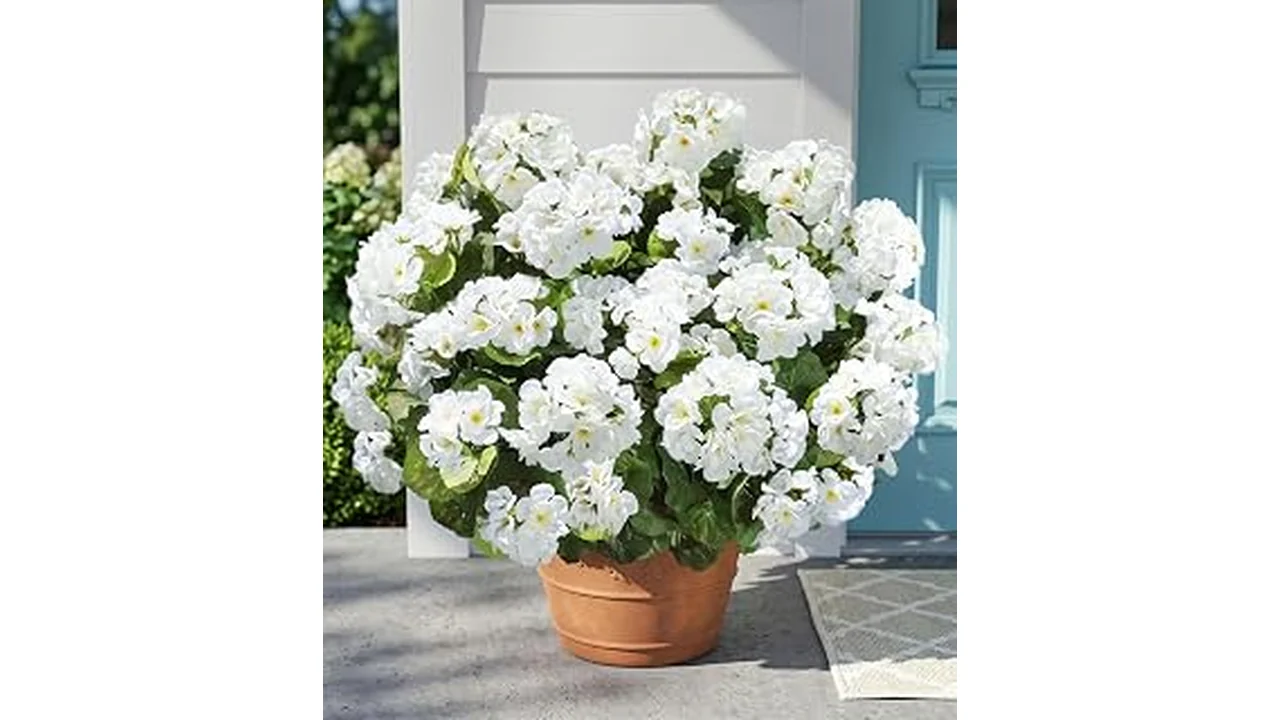 Best 10 6 Artificial Flowers Outdoors Diy