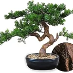 The image shows a collection of diverse artificial bonsai trees, perfect for beginners seeking decorative plants.