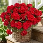 Best 10 8 Artificial Flowers Outdoors for Decoration