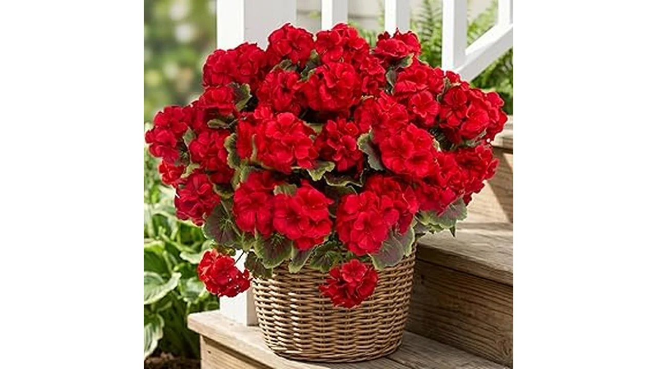 Best 10 8 Artificial Flowers Outdoors for Decoration