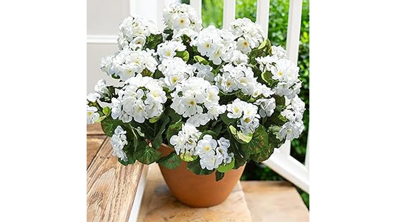 Best 10 Artificial Flowers Outdoors Zone 6