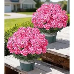Best 10 Artificial Flowers Outdoors With Pots