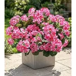 Best 10 Artificial Flowers Outdoors 9 Inch