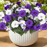 Best 10 J Artificial Flowers Outdoors Near Me