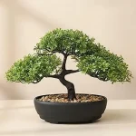 The image shows a beautifully crafted realistic artificial bonsai tree, perfect for adding natural charm.