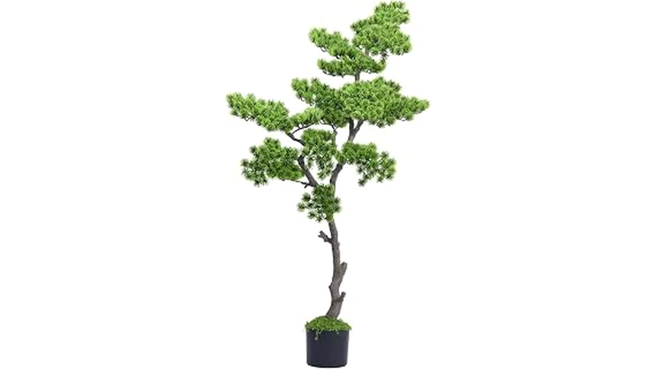 The image shows a curated collection of four best-selling artificial bonsai trees, perfect for beginners.