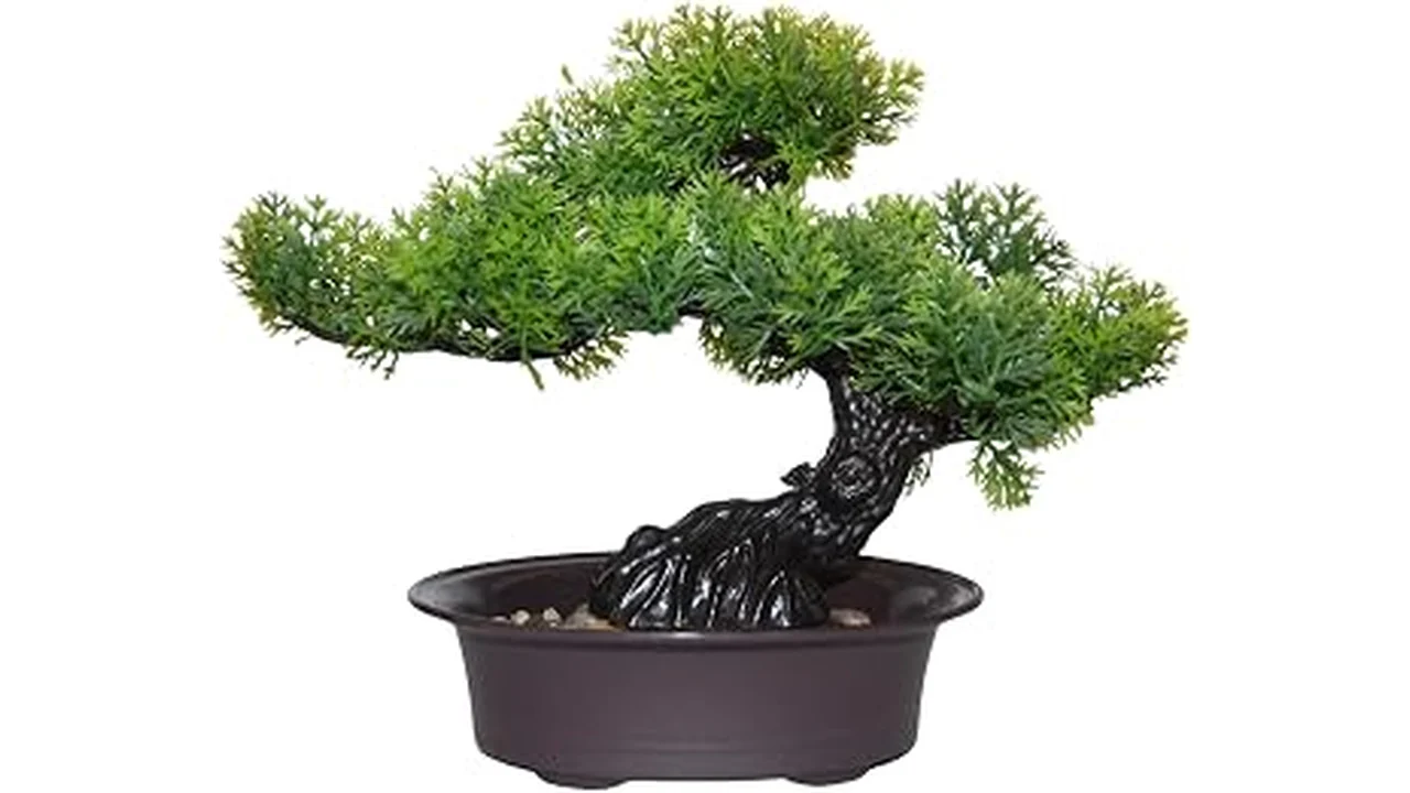 Most Popular 10 Best Artificial Bonsai Tree Gifts