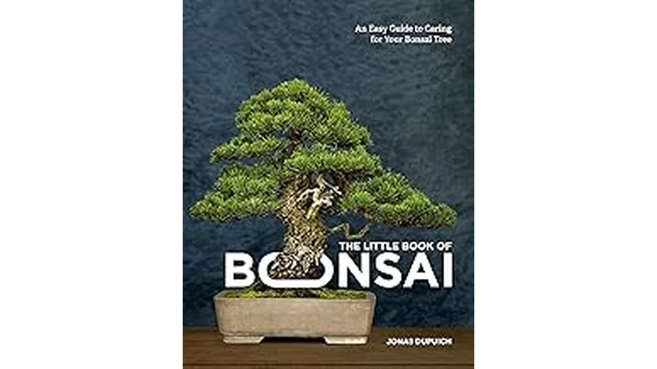 The image shows a beautiful artificial bonsai tree, perfect for the Most Popular 10 My Best Artificial Bonsai Tree Care Guide.