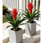 Top Rated 10 Best Artificial Plants in Florida Reddit