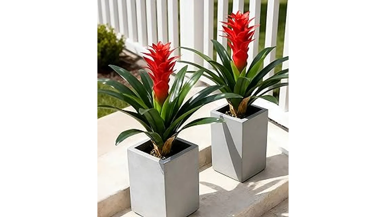 Top Rated 10 Best Artificial Plants in Florida Reddit