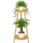 The image shows various stylish bamboo plant stands holding vibrant indoor plants, part of a featured review.