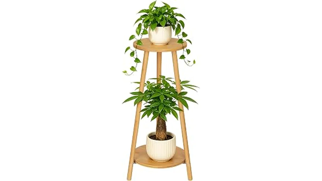 The image shows various stylish bamboo plant stands holding vibrant indoor plants, part of a featured review.