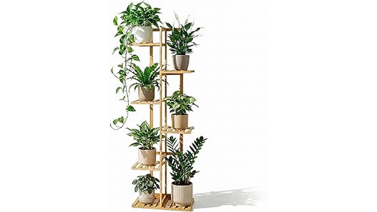 The image shows a variety of stylish bamboo plant stands holding different indoor potted plants.