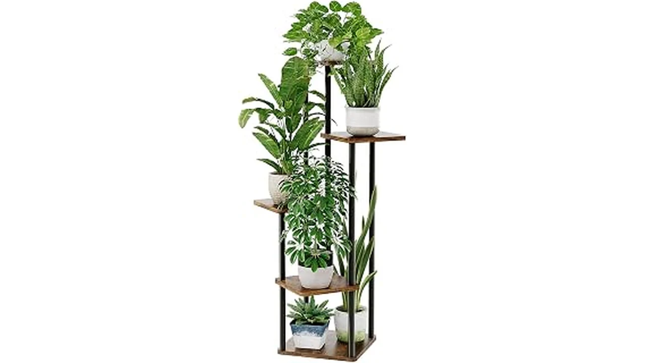 The image shows a stylish plant stand with a plant, as featured in the Best 10 Beautiful Indoor Plant Stands review.