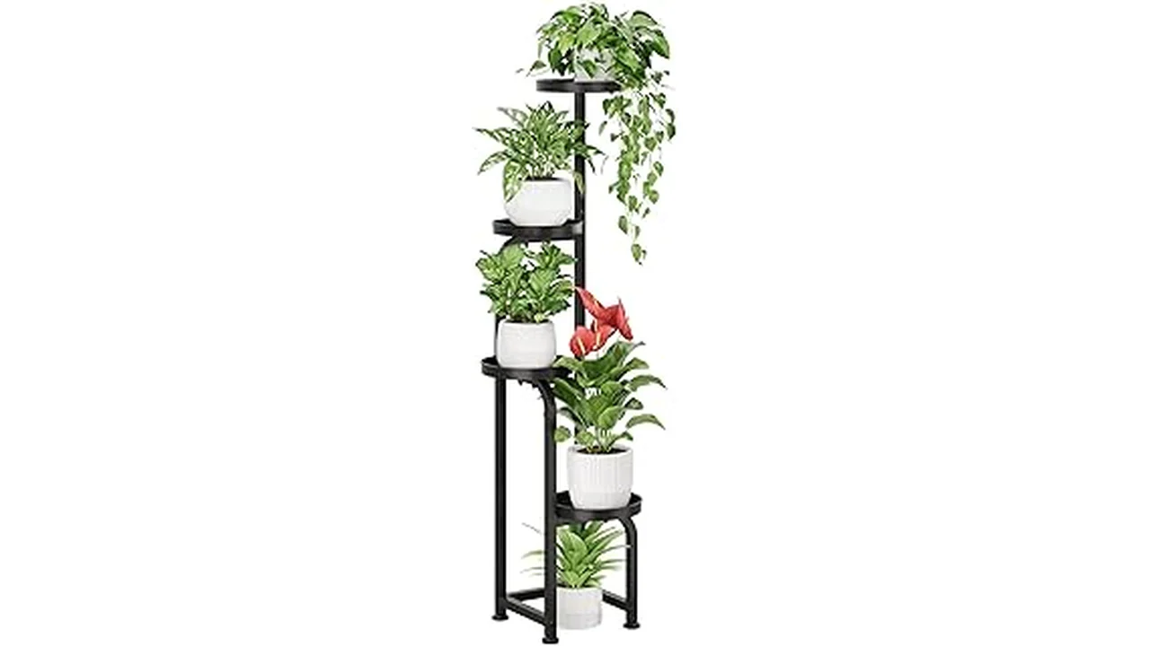 The image shows a stylish black metal plant stand holding a green potted plant in a modern indoor setting.