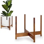 The image shows a stylish wooden indoor plant stand holding a potted plant, part of a featured collection of eco-friendly options.