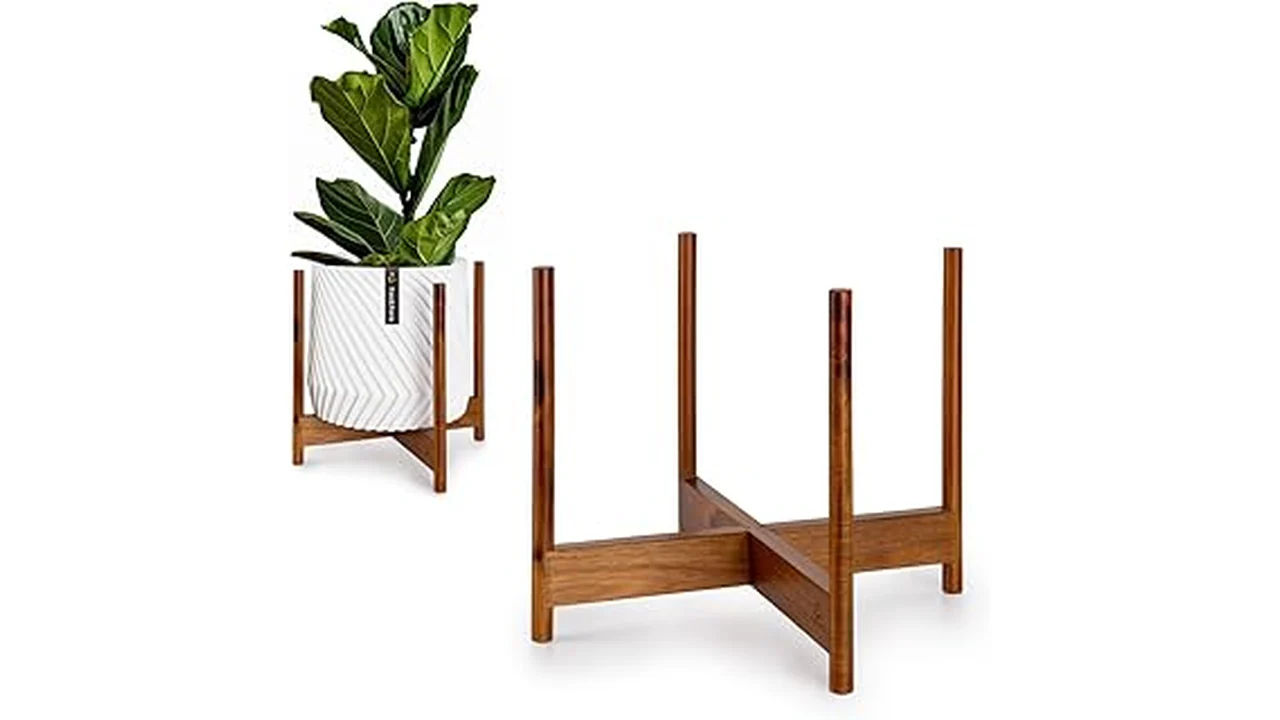 The image shows a stylish wooden indoor plant stand holding a potted plant, part of a featured collection of eco-friendly options.