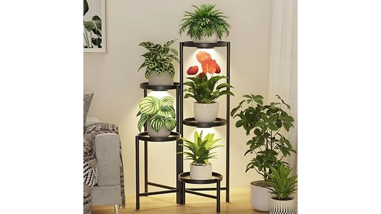 This image shows a stylish plant stand showcasing a lush green plant in a bright, modern living space.