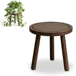 The image shows a collection of handcrafted wooden indoor plant stands, highlighting the best options for plant display.