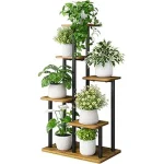 The image shows a stylish contemporary indoor plant stand showcasing the best contemporary design features.