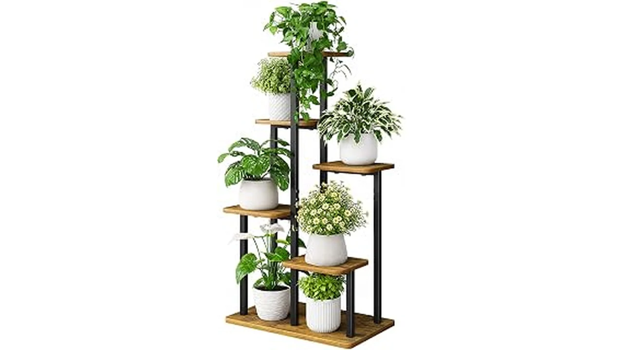 The image shows a stylish contemporary indoor plant stand showcasing the best contemporary design features.