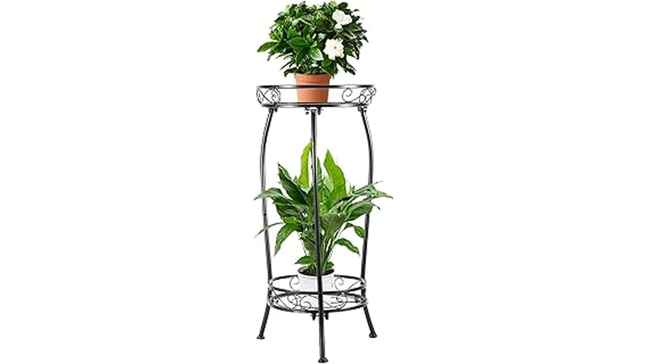 The image shows a stylish plant stand showcasing a healthy indoor plant, featured in a review of top 10 stands.