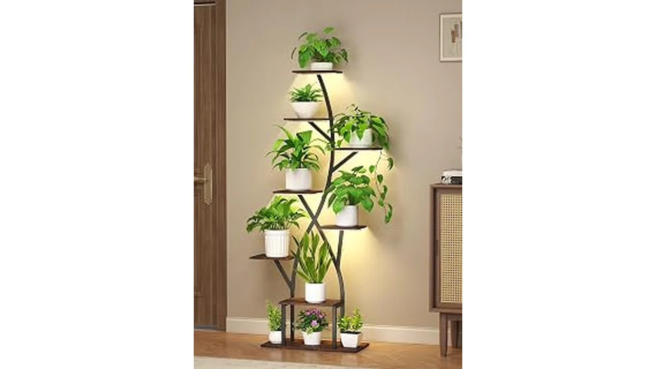 The image shows a stylish indoor plant stand showcasing various potted plants, perfect for beautiful room decoration.