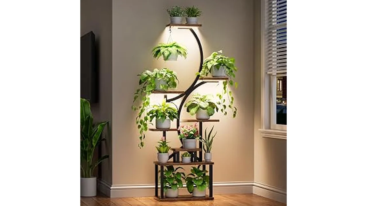 The image shows a stylish indoor plant stand featuring a healthy green plant in a modern home setting.