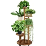 The image shows a stylish plant stand showcasing several vibrant indoor plants, perfect for versatile room decoration.