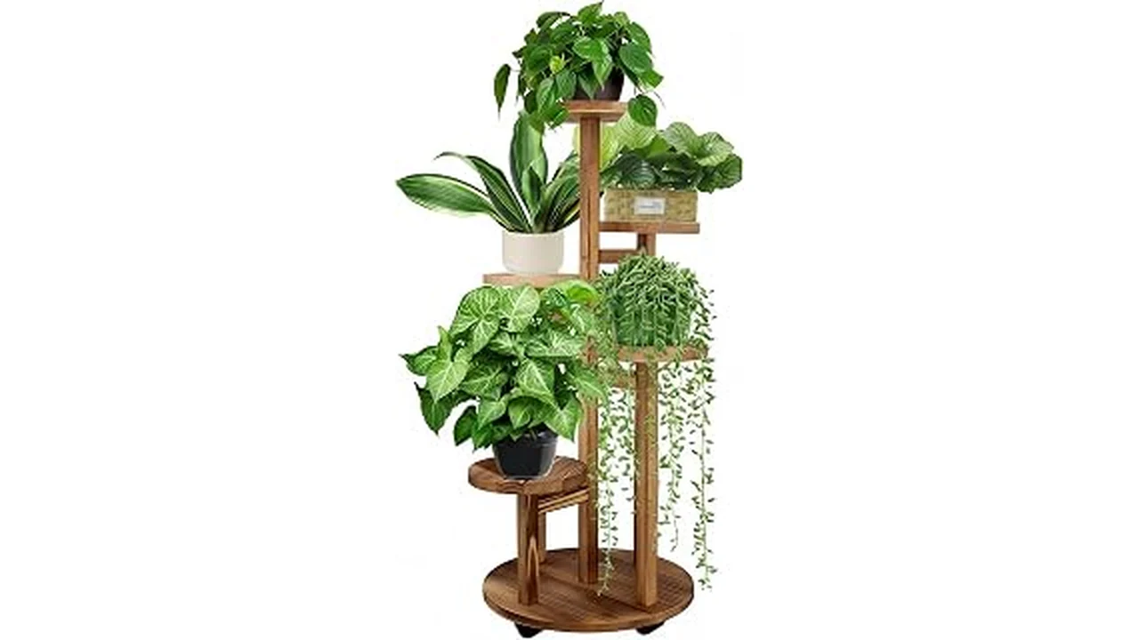 The image shows a stylish tiered plant stand displaying several vibrant potted plants, perfect for decorative arrangements.