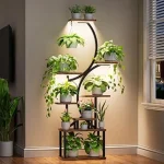 The image shows a stylish modern plant stand displaying a lush potted plant, highlighting unique home decor options.