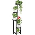 The image shows a stylish collection of indoor plant stands organizing houseplants attractively.