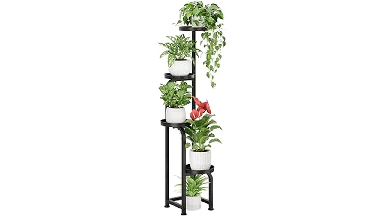 The image shows a stylish collection of indoor plant stands organizing houseplants attractively.