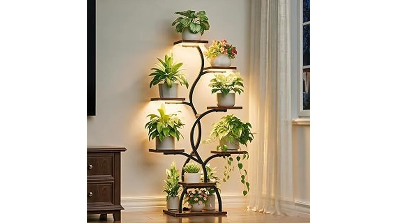 The image shows a stylish light wood plant stand holding bright green plants in a sunlit room.